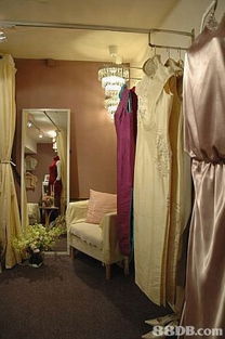 如何選擇專業婚紗攝影服務 從攝影師到婚宴攝影的全面指南